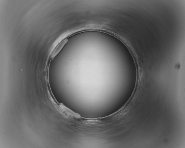 X0000110671342200906121052