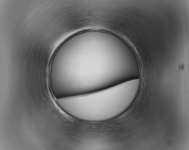 X0000110671343200906121052