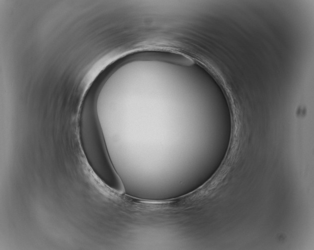 X0000110671344200906121052