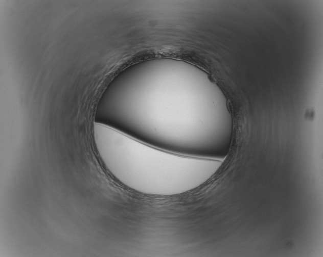 X0000110671345200906121051