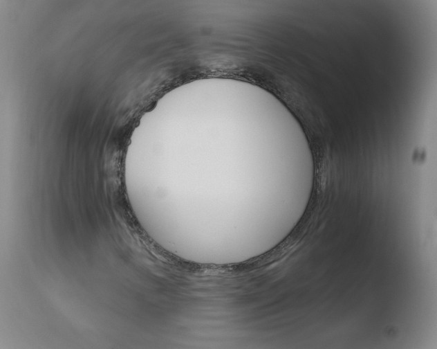 X0000110671346200906121051