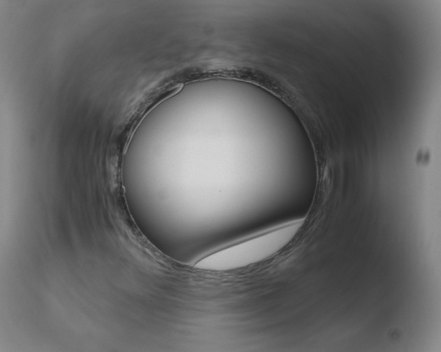 X0000110671348200906121051