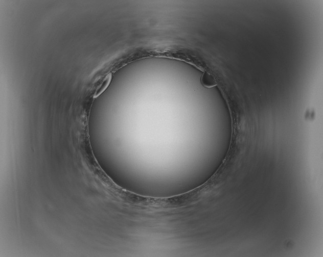 X0000110671349200906121051