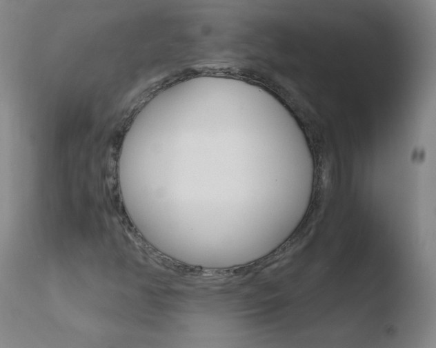 X0000110671350200906121051
