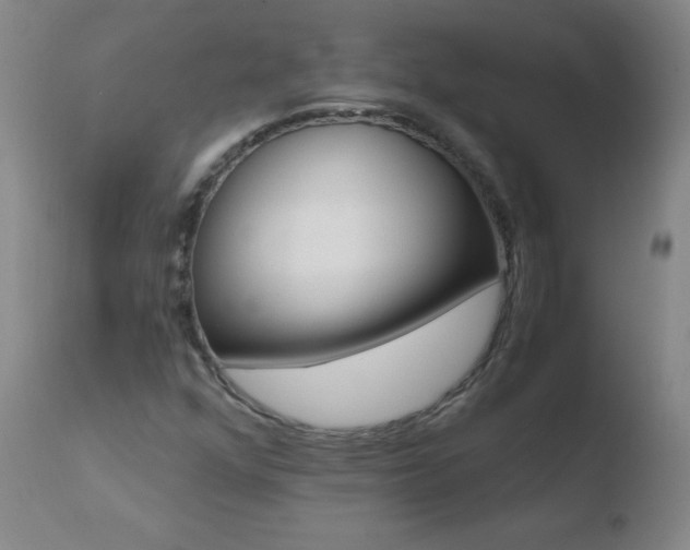 X0000110671352200906121051