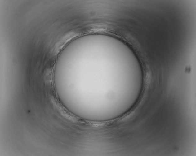 X0000110671353200906121051