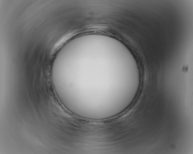 X0000110671354200906121051