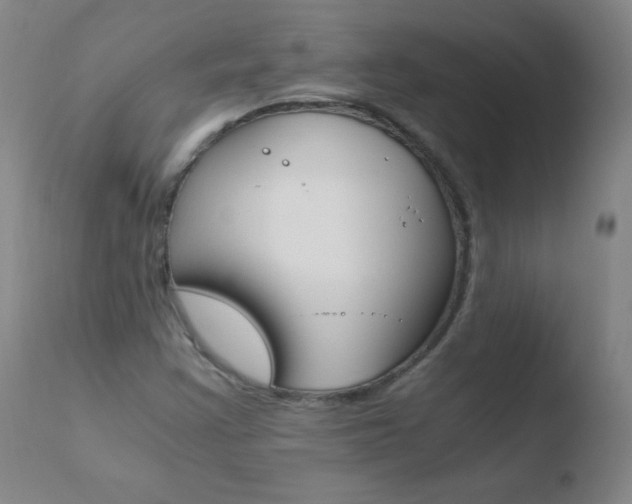 X0000110671355200906121051
