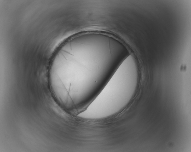 X0000110671356200906121051