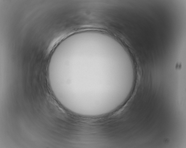 X0000110671357200906121051