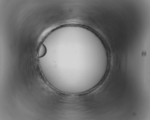 X0000110671358200906121051