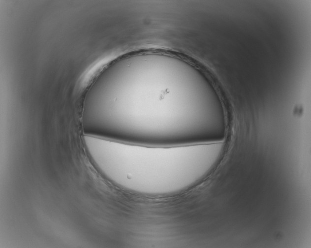 X0000110671359200906121051