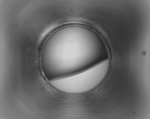X0000110671360200906121051