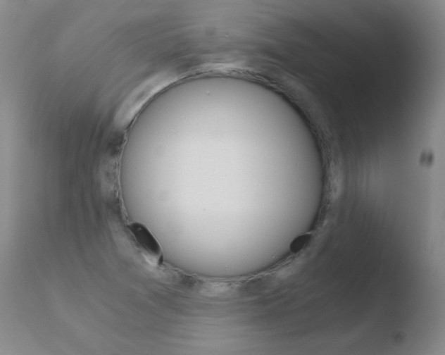 X0000110671361200906121051