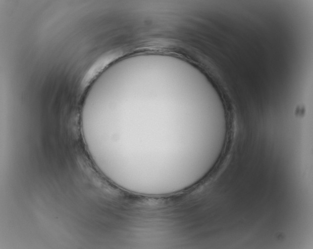 X0000110671362200906121051