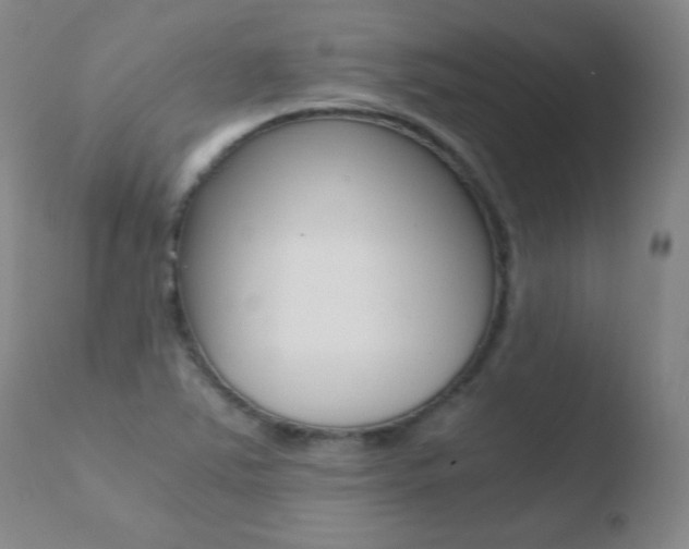 X0000110671363200906121051