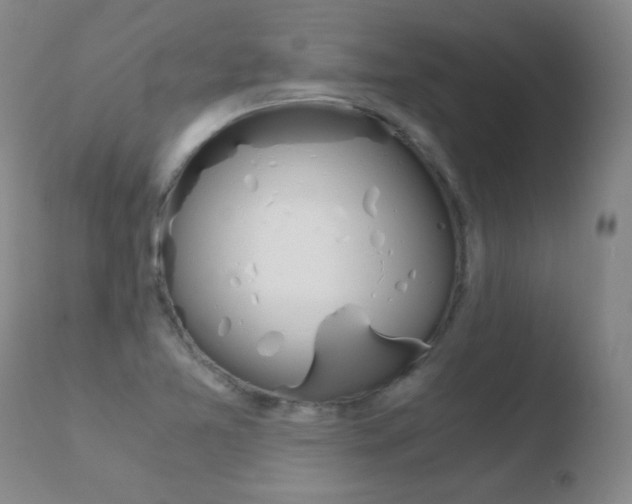 X0000110671365200906121051