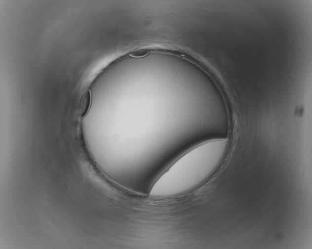 X0000110671367200906121051