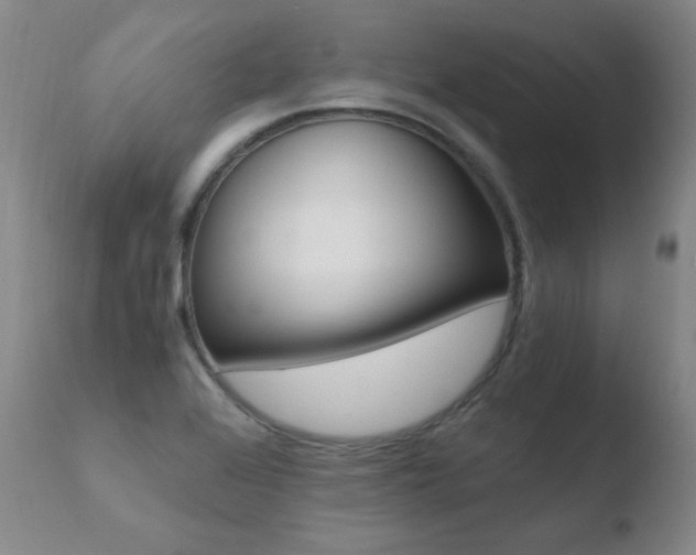 X0000110671368200906121051