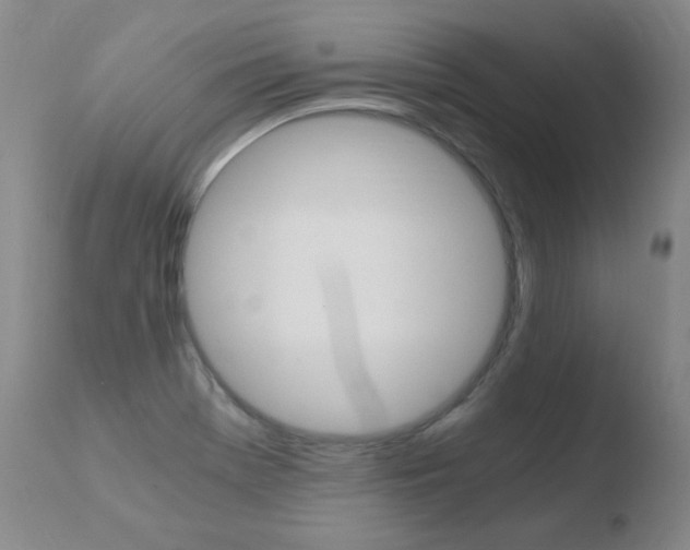 X0000110671369200906121051