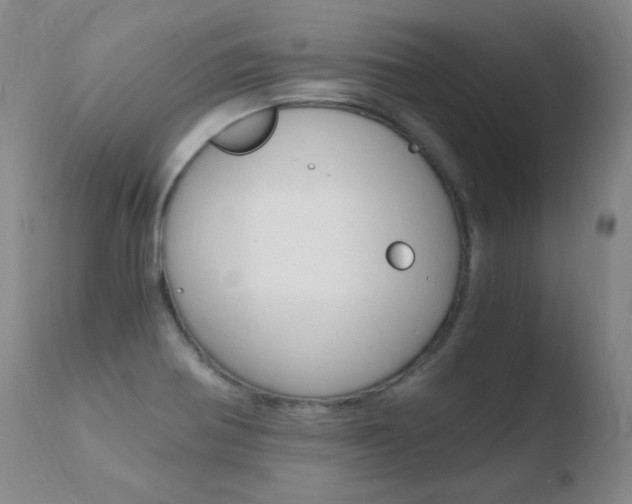 X0000110671370200906121051