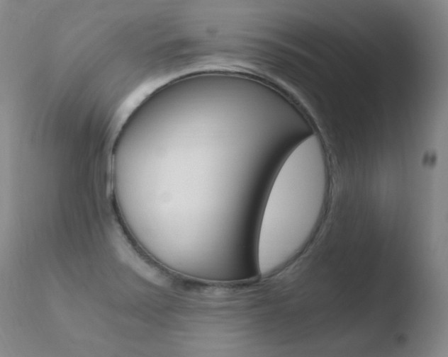 X0000110671371200906121051