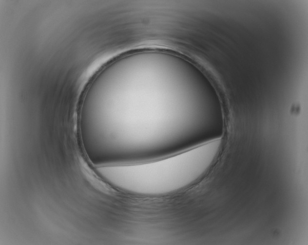 X0000110671372200906121051