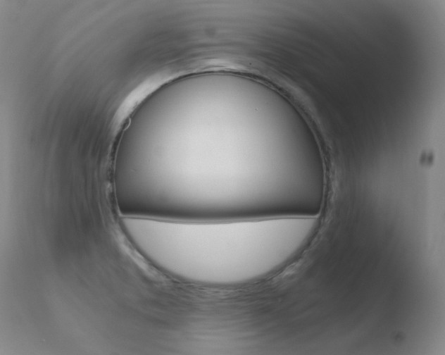 X0000110671373200906121050
