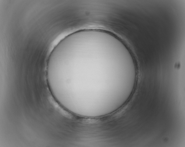 X0000110671374200906121050