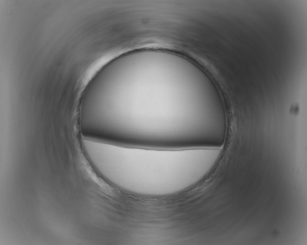 X0000110671375200906121050