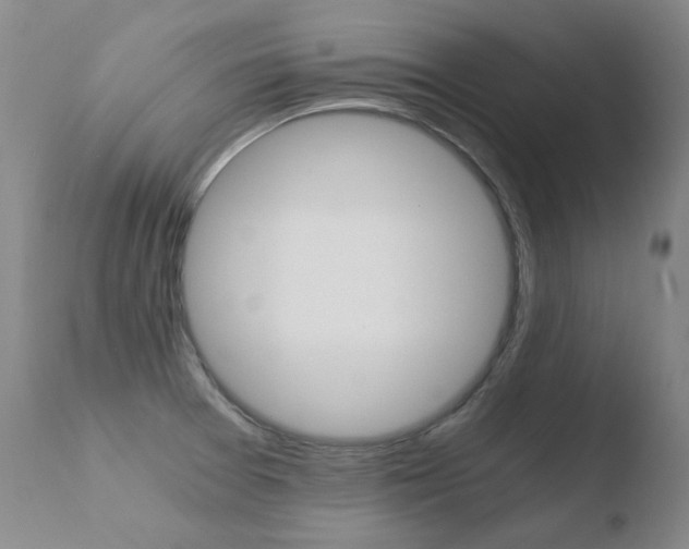 X0000110671377200906121050