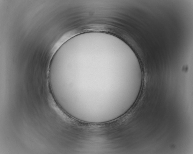 X0000110671378200906121050