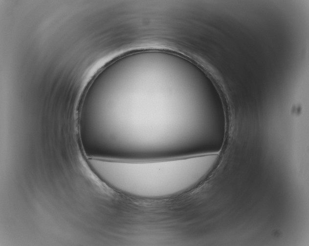 X0000110671380200906121050