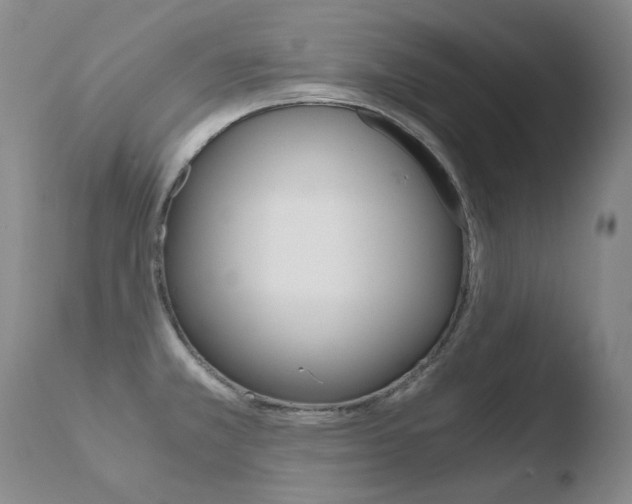 X0000110671381200906121050