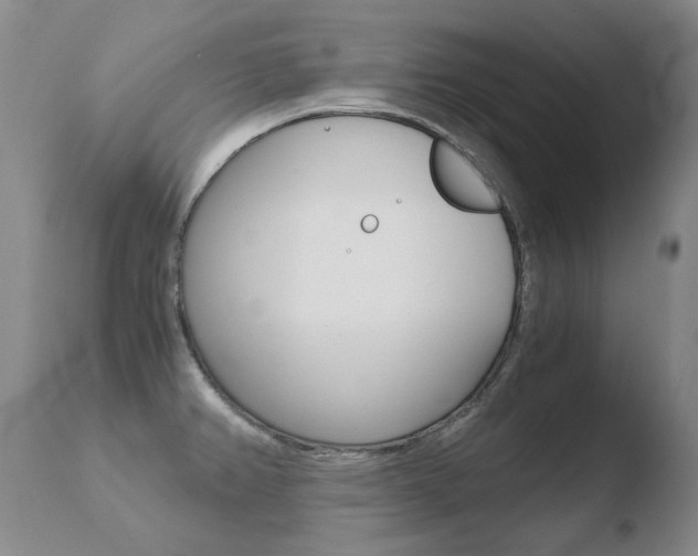 X0000110671382200906121050