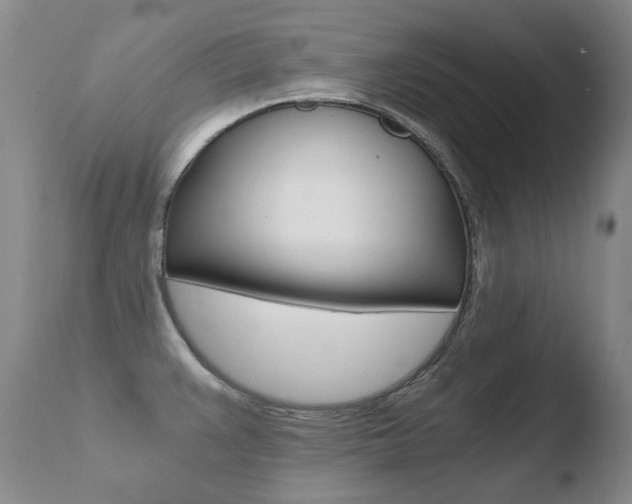 X0000110671383200906121050