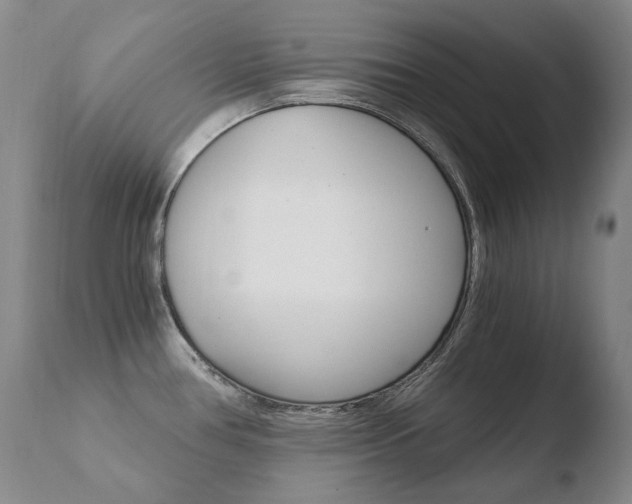 X0000110671386200906121050