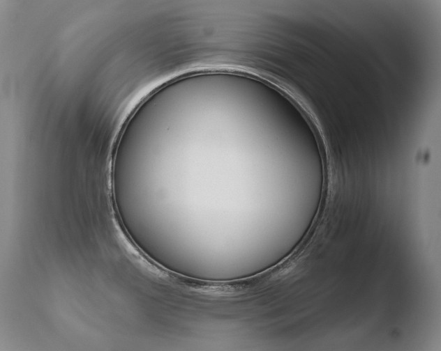X0000110671388200906121050