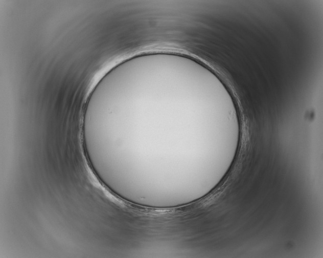 X0000110671390200906121050