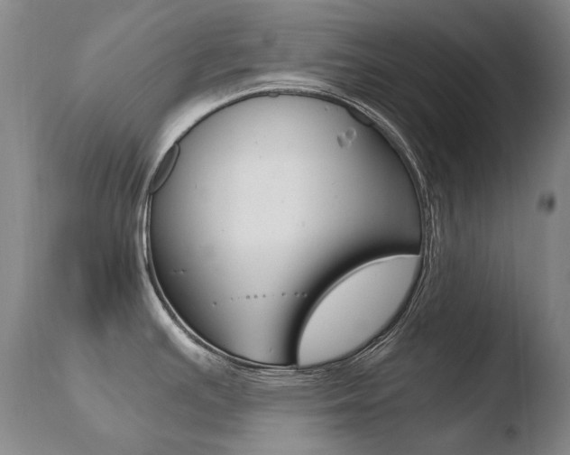 X0000110671391200906121050