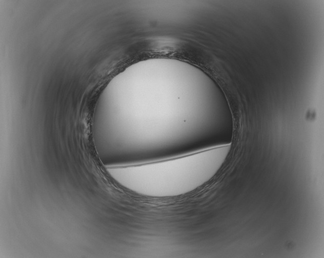 X0000110671394200906121049