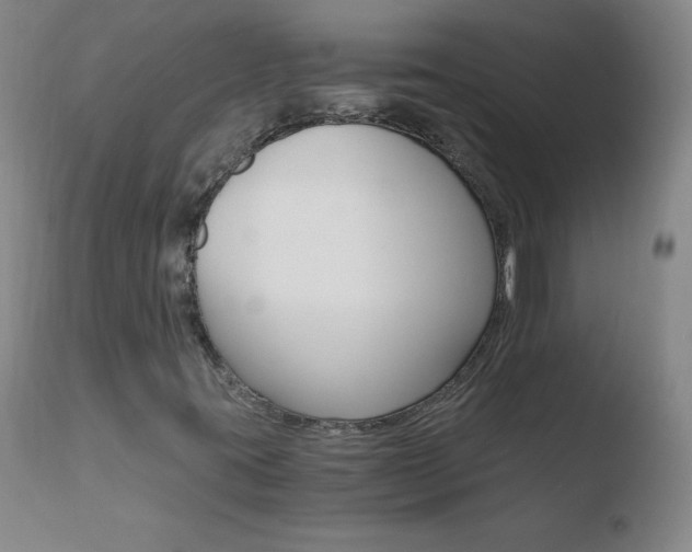 X0000110671395200906121049