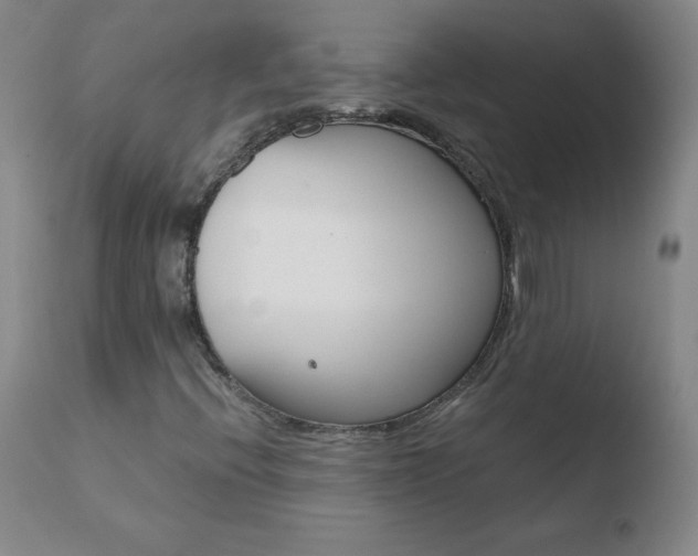 X0000110671396200906121049