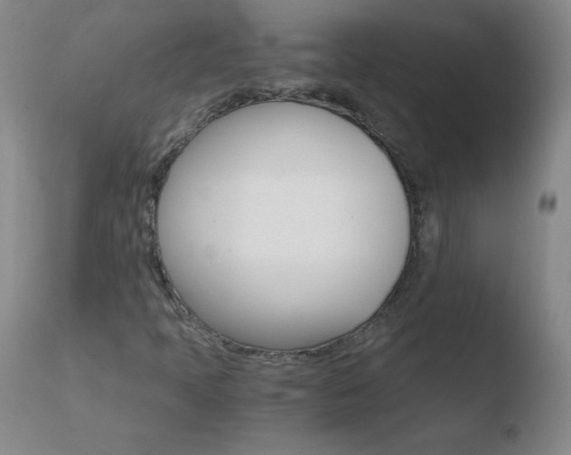 X0000110671397200906121049