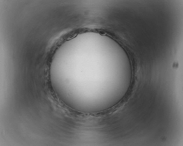 X0000110671398200906121049
