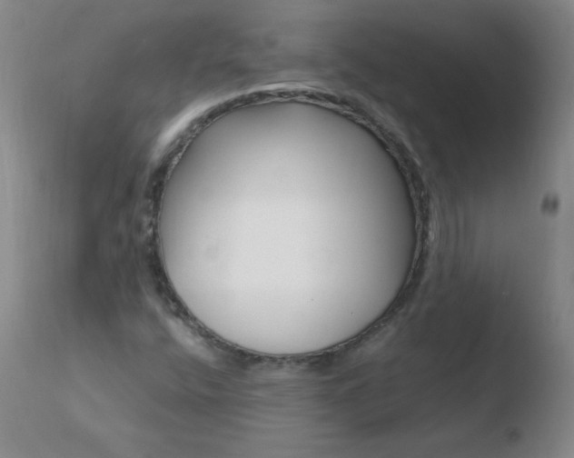 X0000110671400200906121049