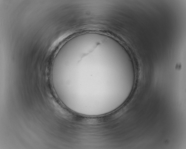 X0000110671402200906121050