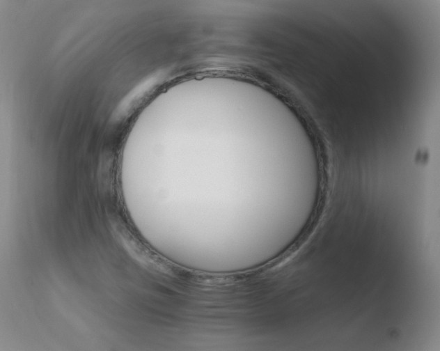 X0000110671403200906121050