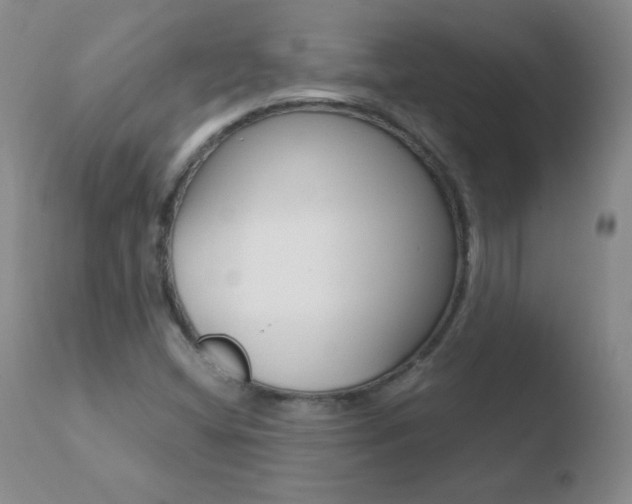 X0000110671404200906121050