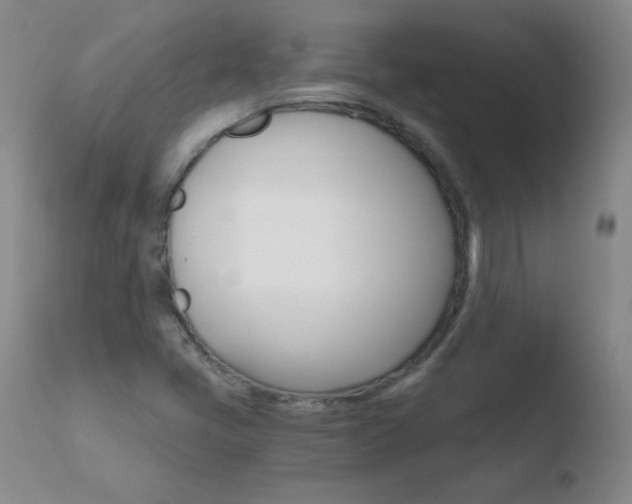 X0000110671405200906121050